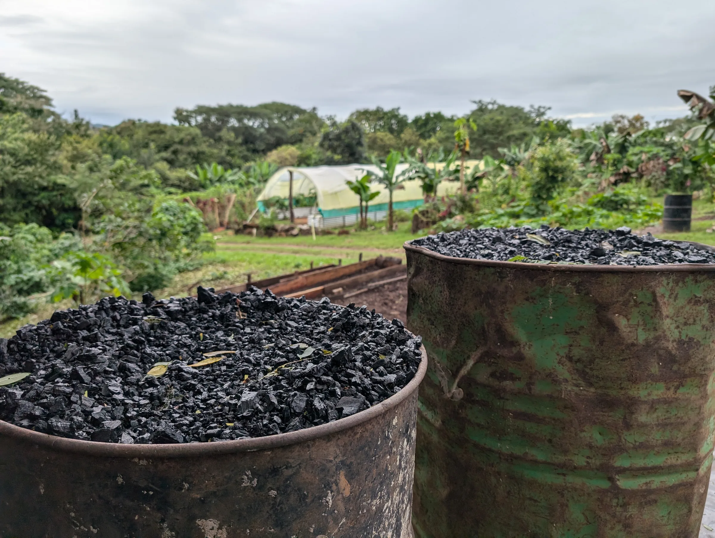 Biochar ready for the beds