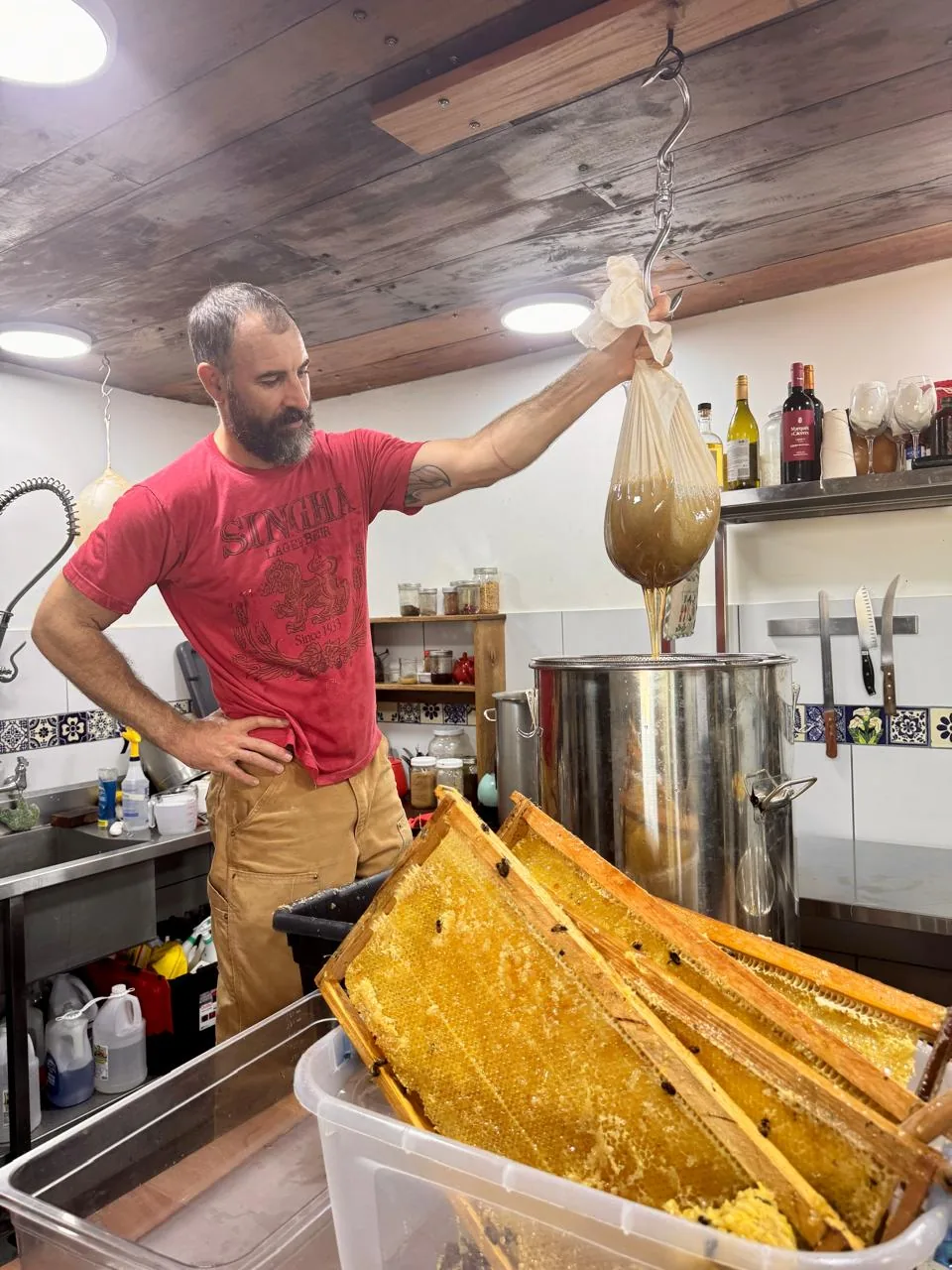 Harvesting honey from the hives