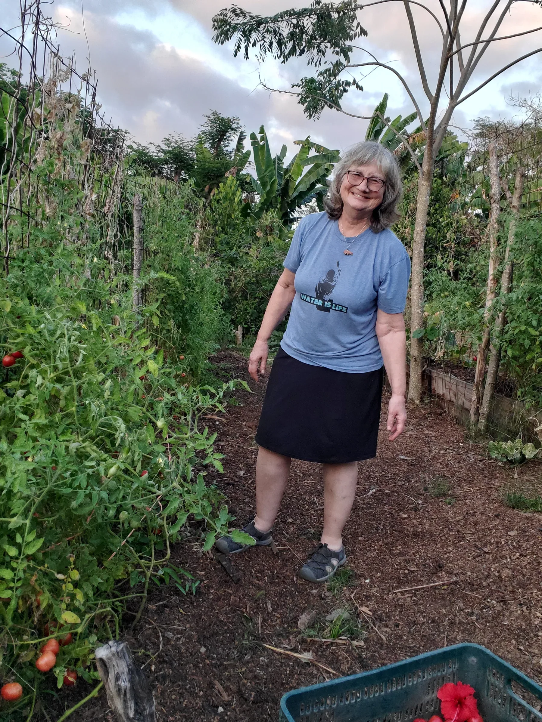 In the tomato garden