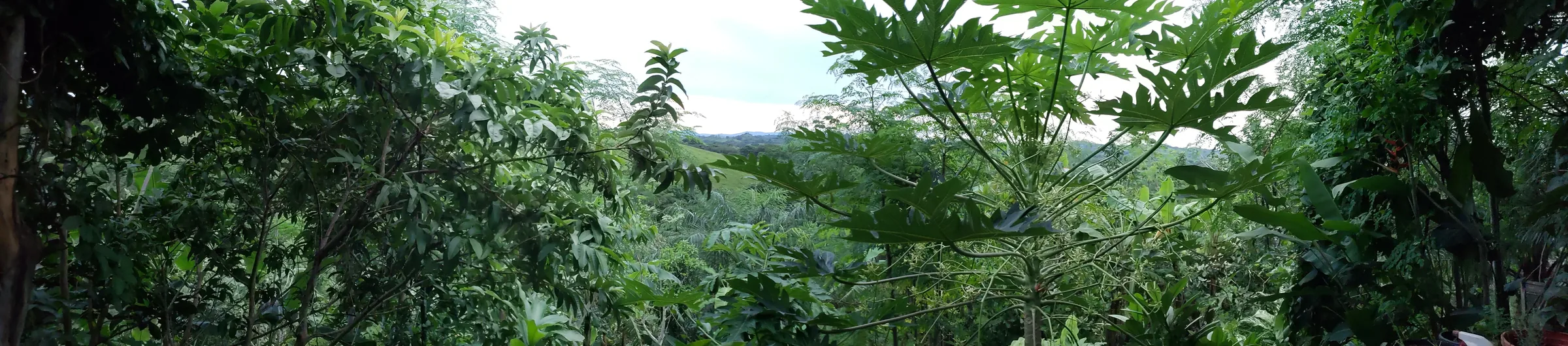 Living on the land at Finca 588