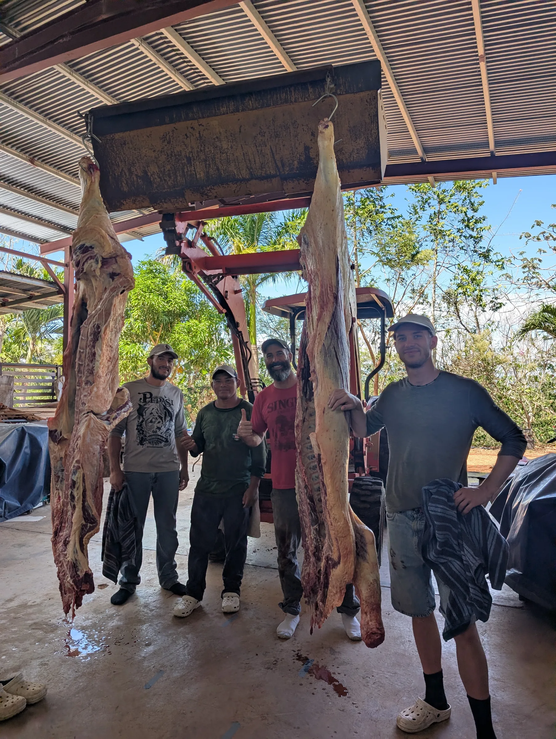 A volunteer at Finca 588 — 4